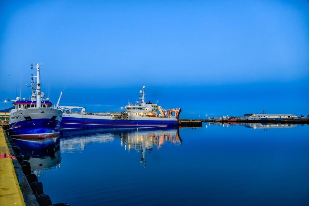 Apotek Guesthouse Höfn Dış mekan fotoğraf