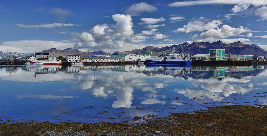 Apotek Guesthouse Höfn Dış mekan fotoğraf
