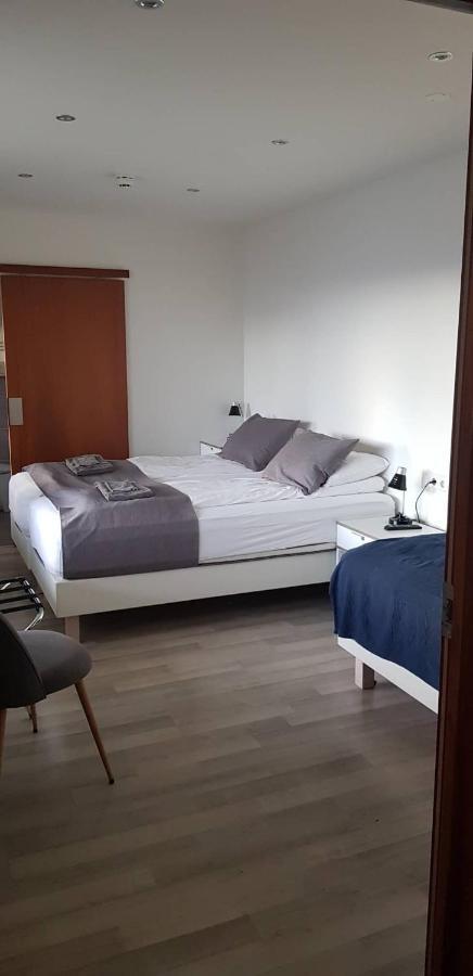 Apotek Guesthouse Höfn Dış mekan fotoğraf